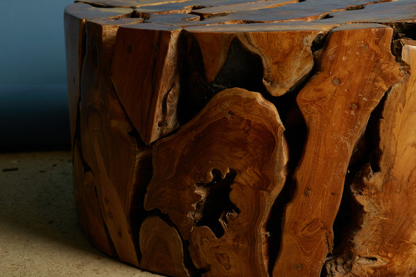 Natural Round Teak Branch Coffee Table