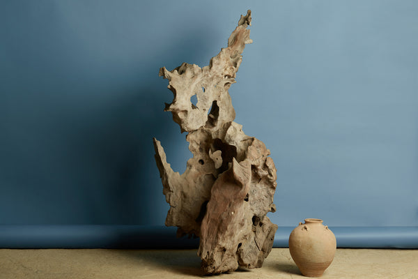 Natural Teak Root Sculpture