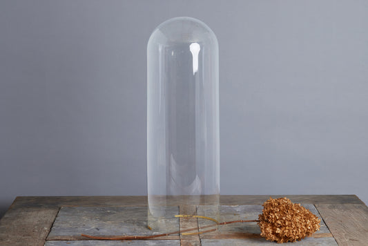 19th Century French Blown Glass Dome