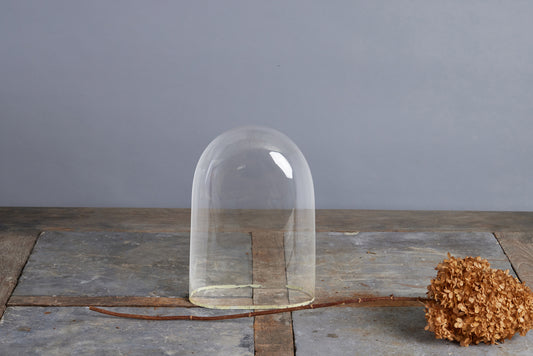 19th Century French Blown Glass Dome