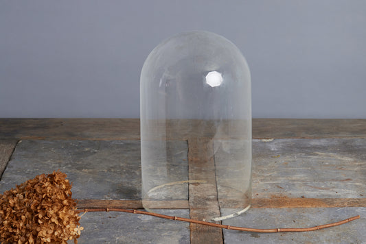 19th Century French Blown Glass Dome