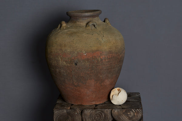 Large 17th Century Vietnamese Shipwreck Jar made for the Spice Trade
