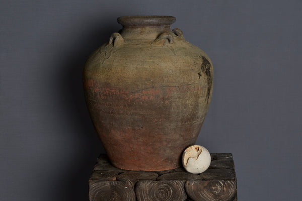 Large 17th Century Vietnamese Shipwreck Jar made for the Spice Trade