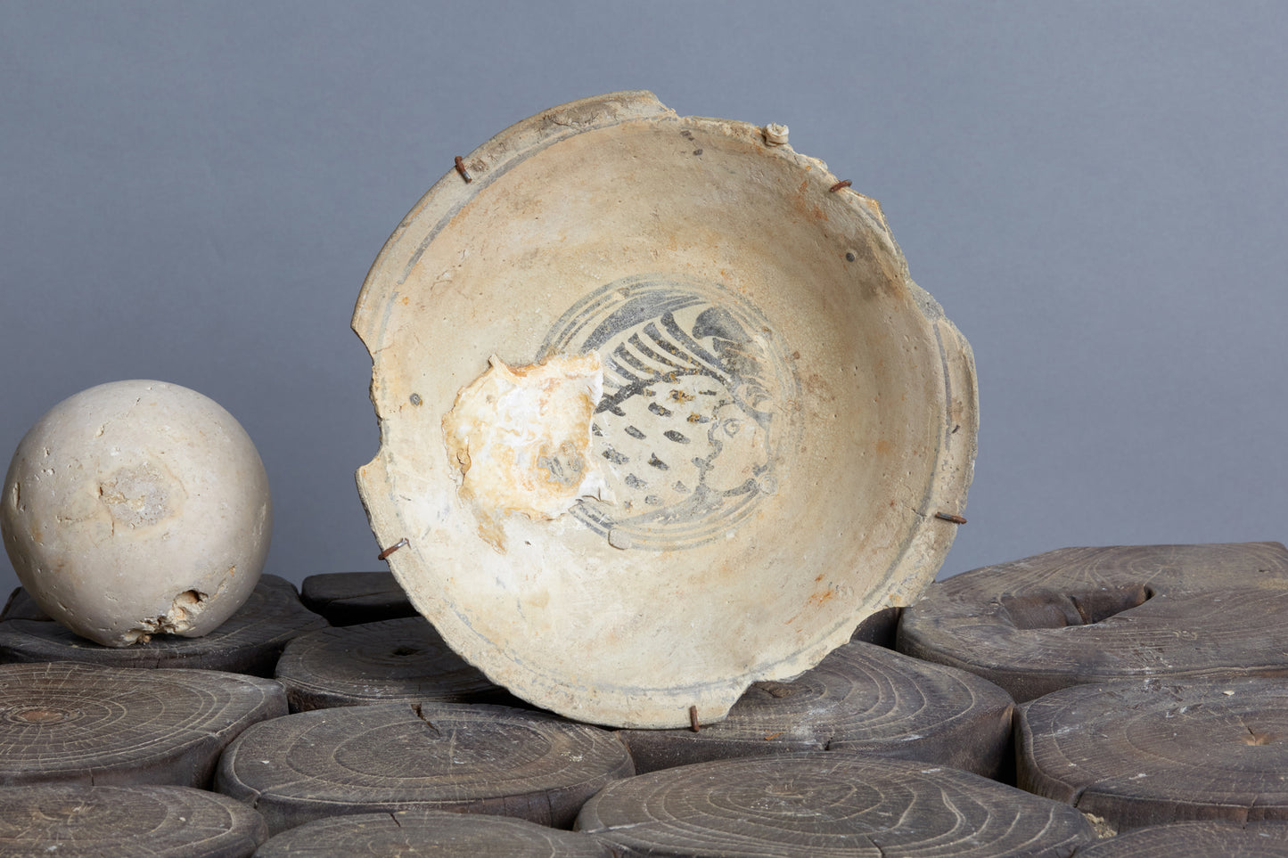 Shipwreck Cargo Discovery of Turaing Suchathai Bowl with Fish Decoration CA 1370 - 1400