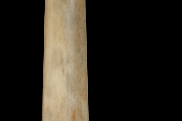 Tall Swordfish Bill