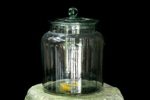 Apothecary Jar with Lid