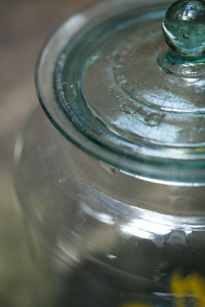 Apothecary Jar with Lid